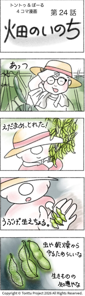 第24話 | 畑のいのち
